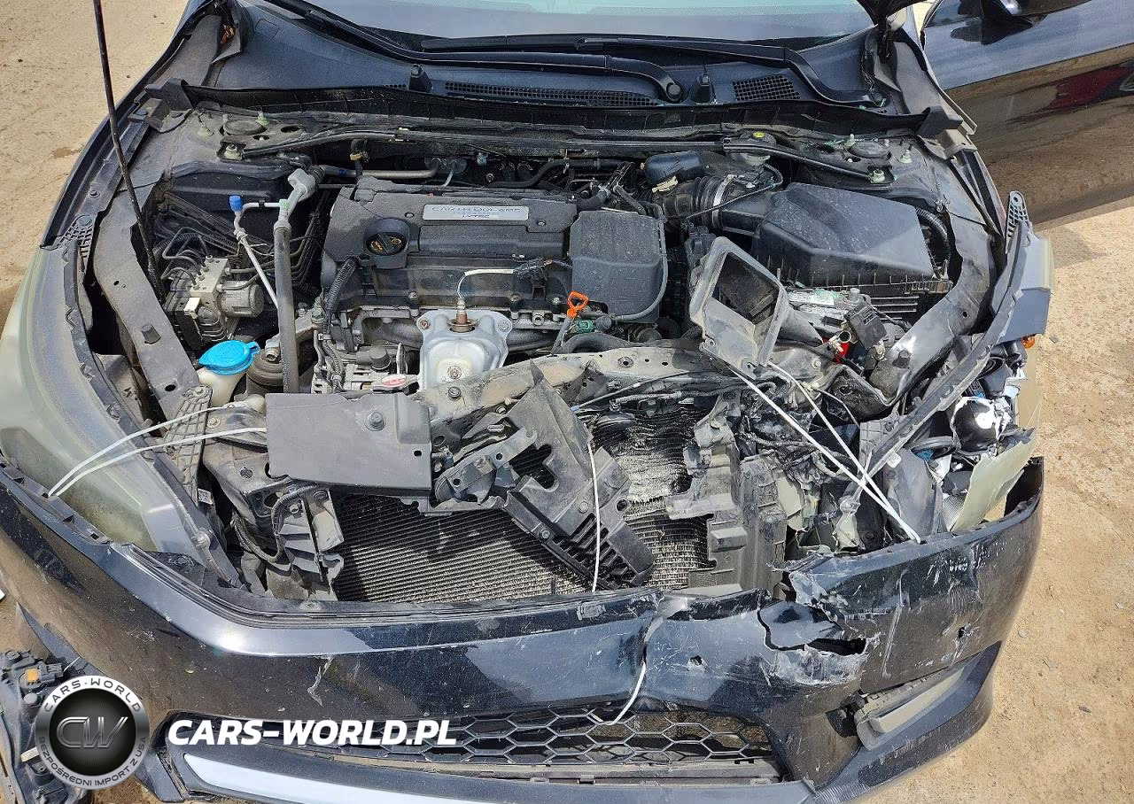 2014 Honda Accord Ex VIN:1HGCR2F73EA139979 - 11