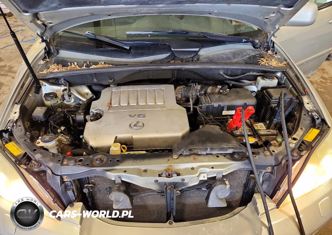 2007 Lexus Rx 350 VIN:2T2HK31U37C032775 - 11
