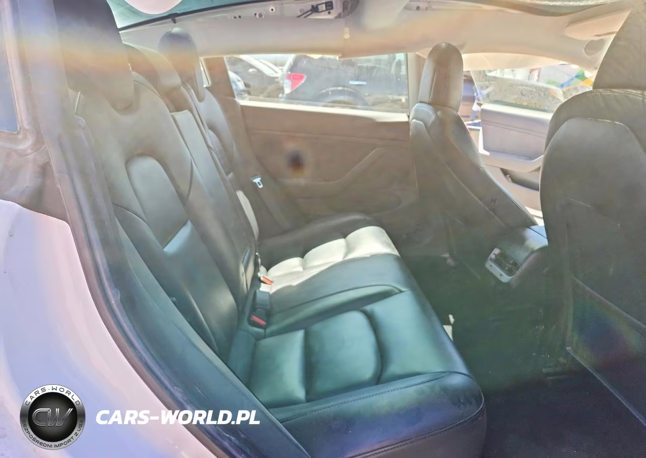 2019 Tesla Model 3 VIN:5YJ3E1EA1KF427262 - 10