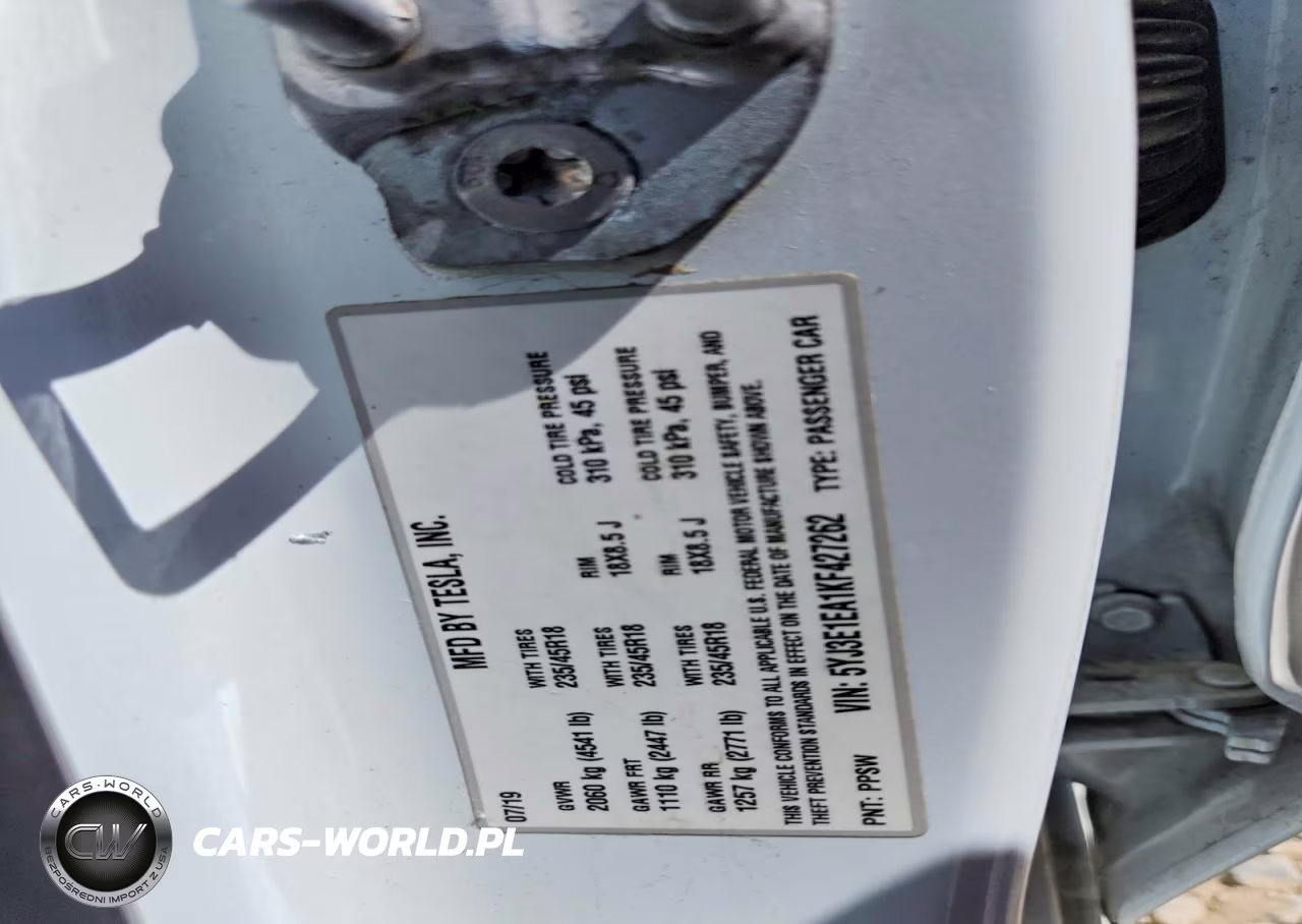 2019 Tesla Model 3 VIN:5YJ3E1EA1KF427262 - 12