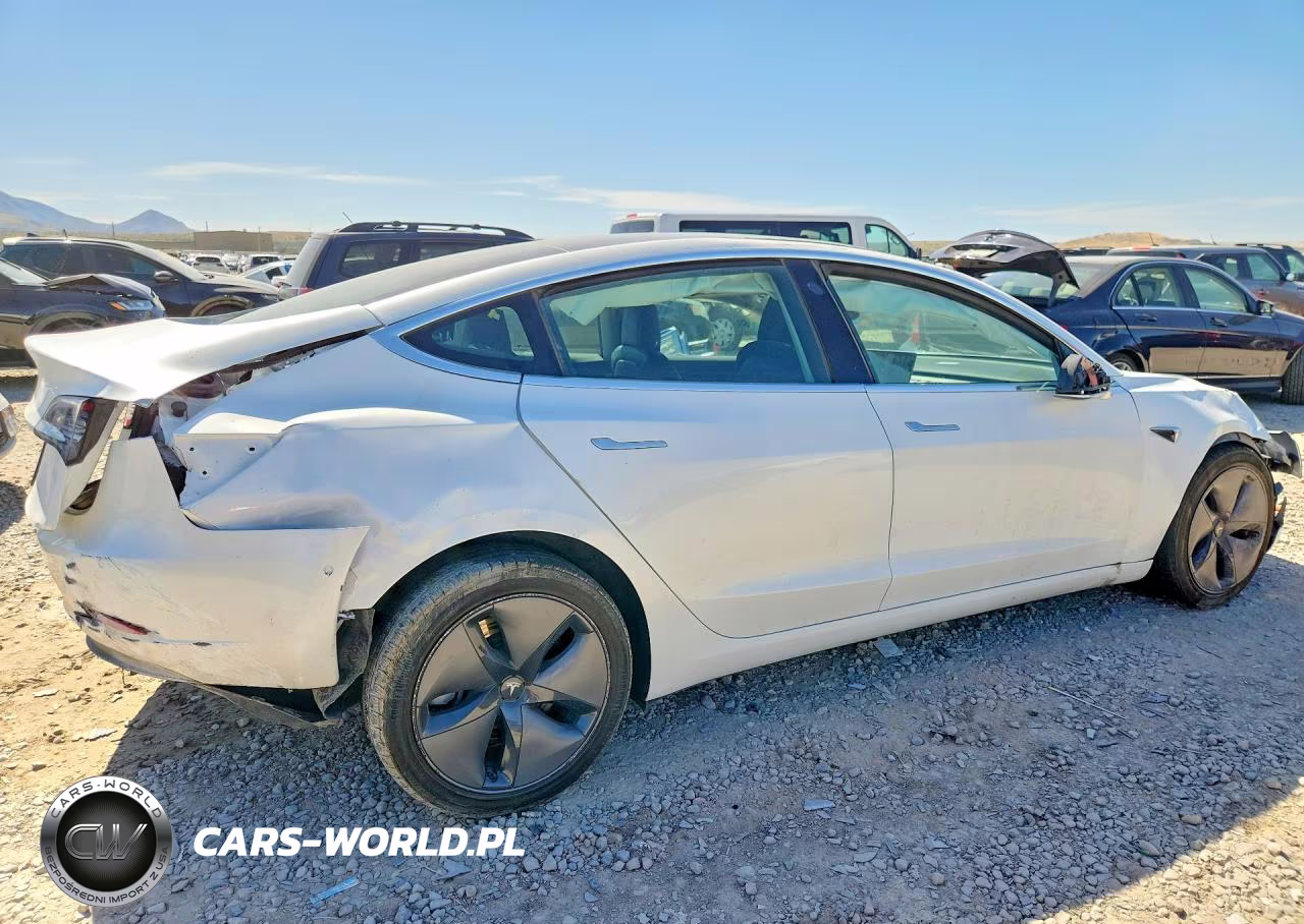 2019 Tesla Model 3 VIN:5YJ3E1EA1KF427262 - 3