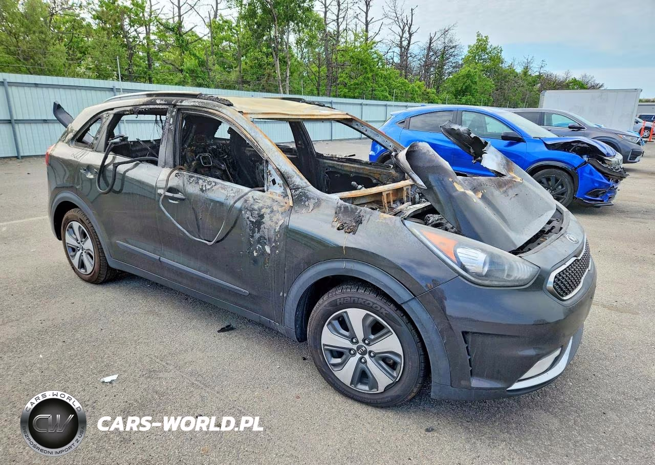 2017 Kia Niro Ex VIN:KNDCC3LC1H5041800 - 4