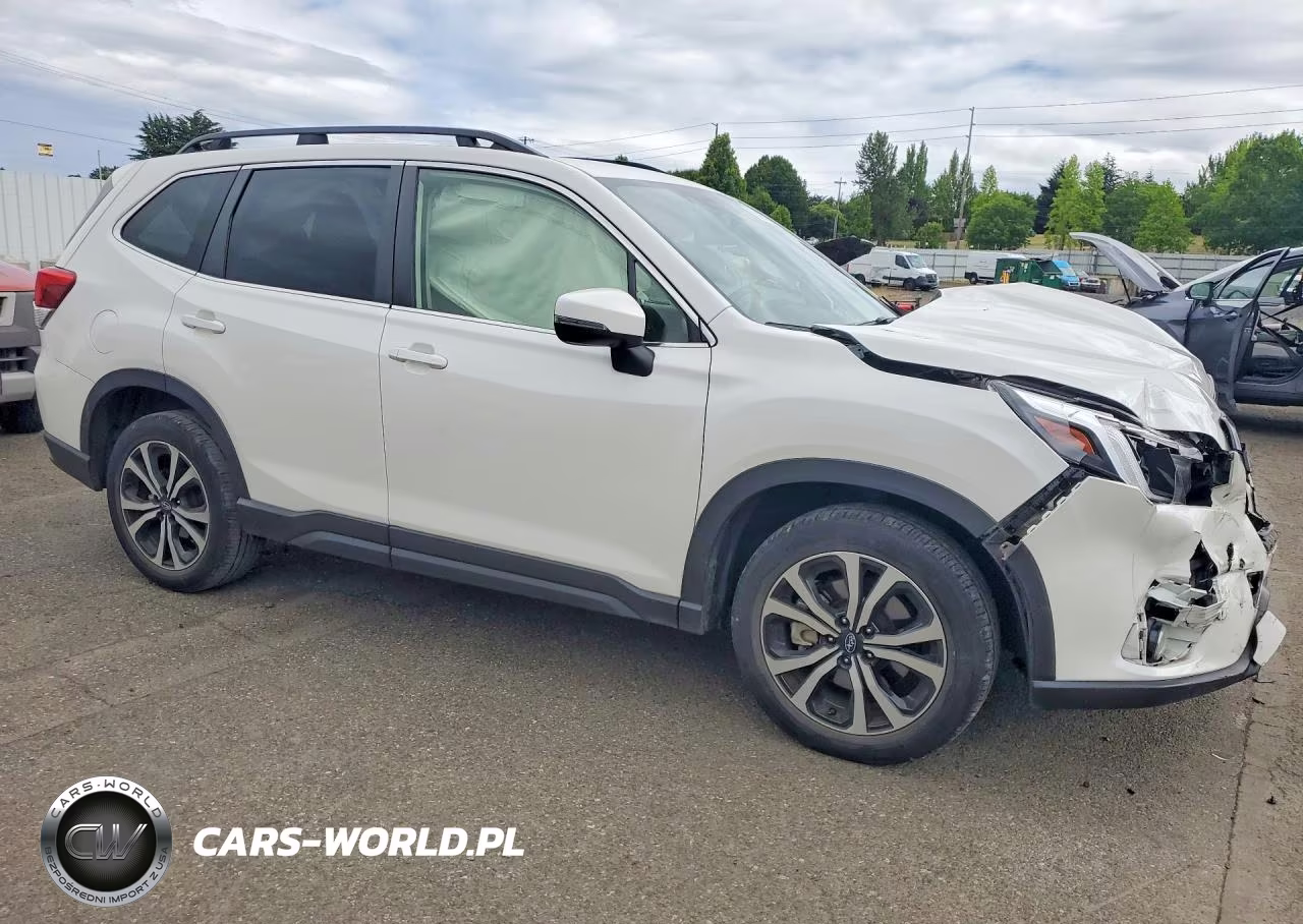 2022 Subaru Forester Limited VIN:JF2SKAPC9NH437319 - 4