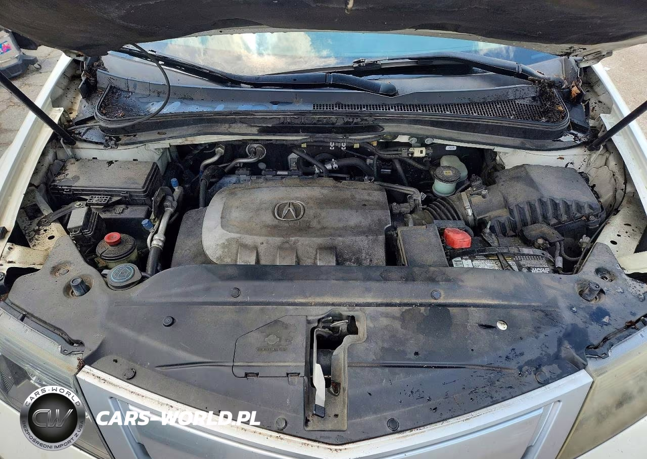 2010 Acura Mdx Advance VIN:2HNYD2H75AH526328 - 12