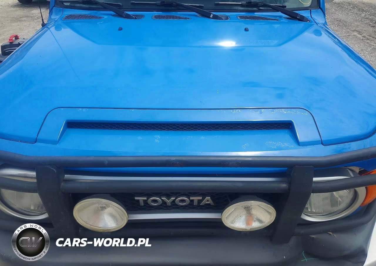 2007 Toyota Fj Cruiser Base VIN:JTEBU11F270097746 - 11