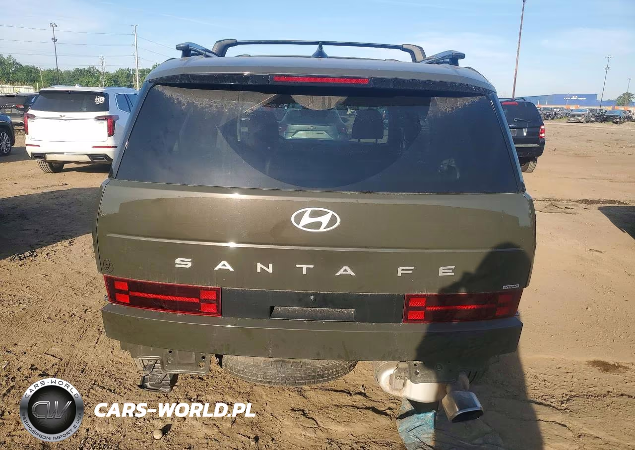 2025 Hyundai Santa Fe Sel VIN:5NMP2DGL8SH137903 - 6