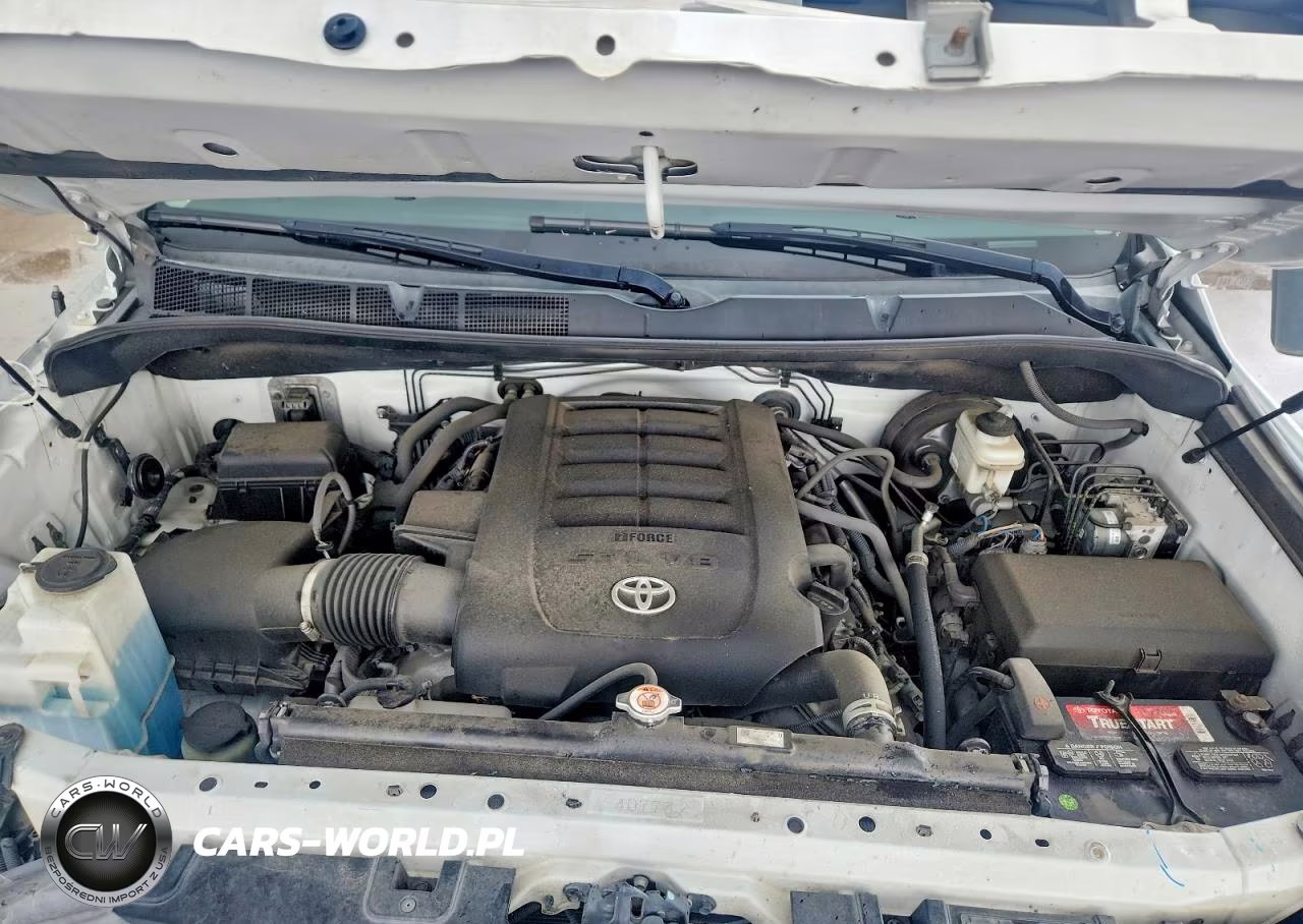 2018 Toyota Tundra Platinum VIN:5TFAW5F14JX718238 - 11
