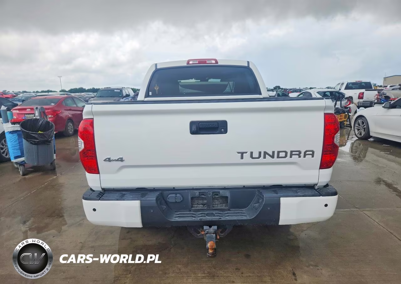 2018 Toyota Tundra Platinum VIN:5TFAW5F14JX718238 - 6