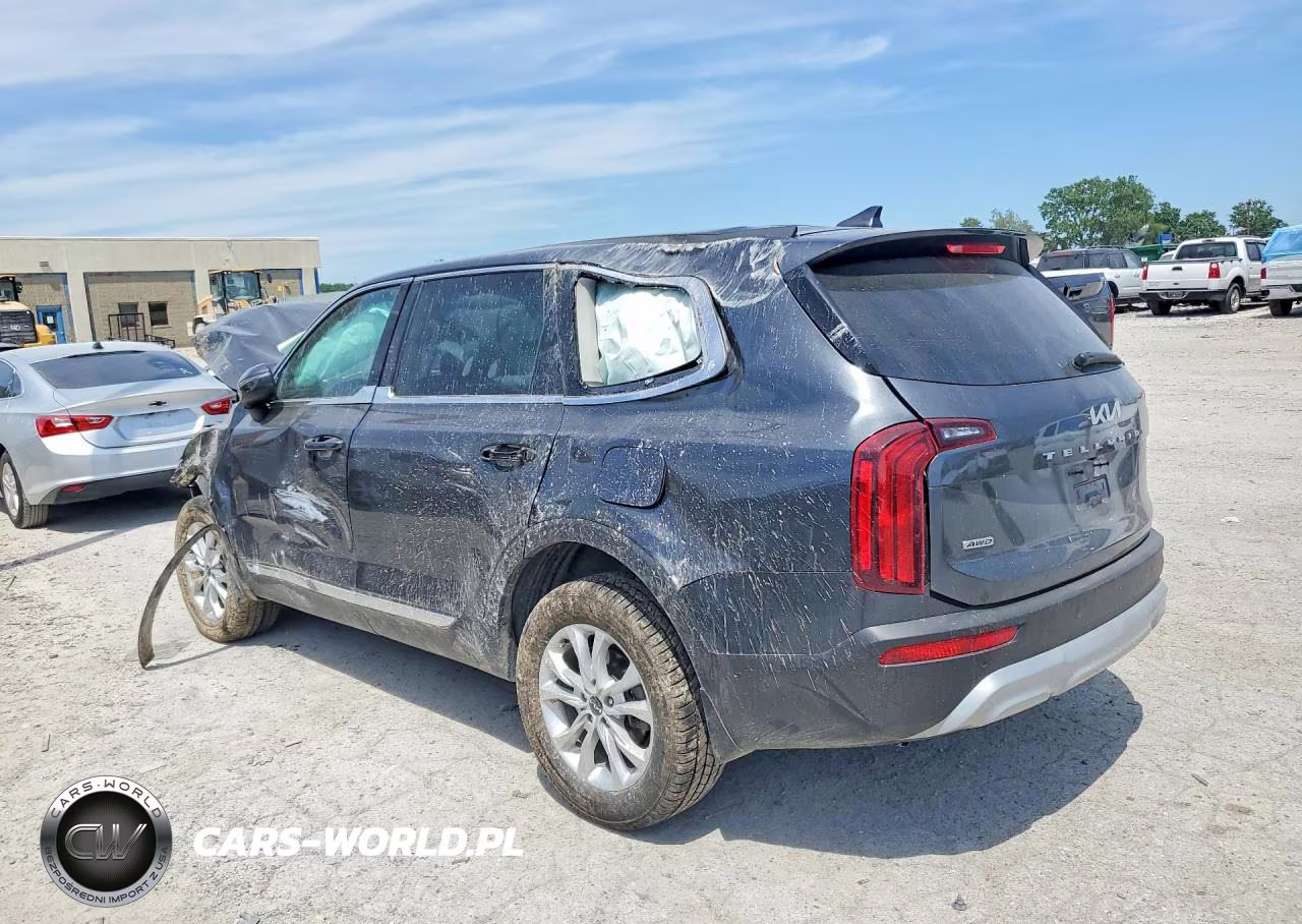 2022 Kia Telluride Lx VIN:5XYP2DHC6NG219450 - 2