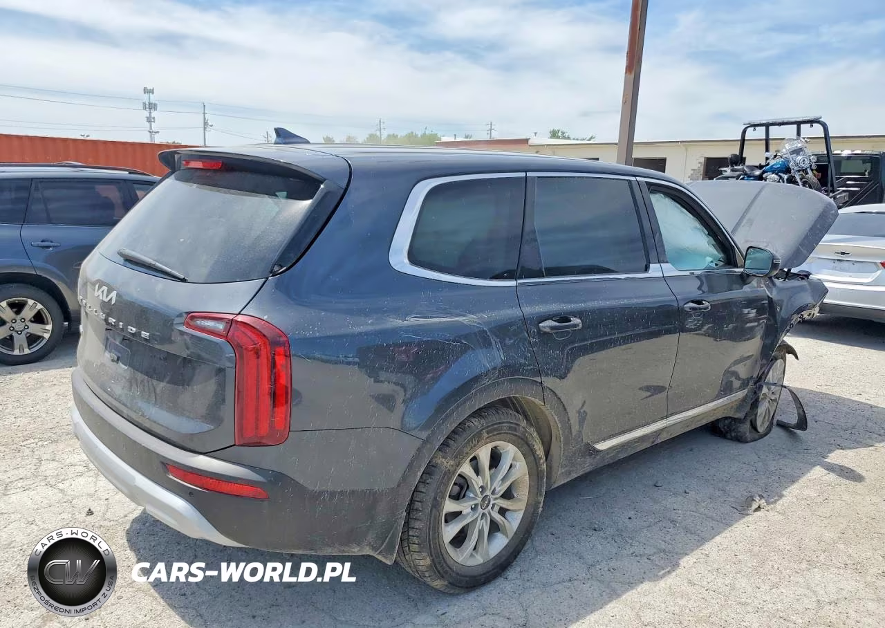 2022 Kia Telluride Lx VIN:5XYP2DHC6NG219450 - 3