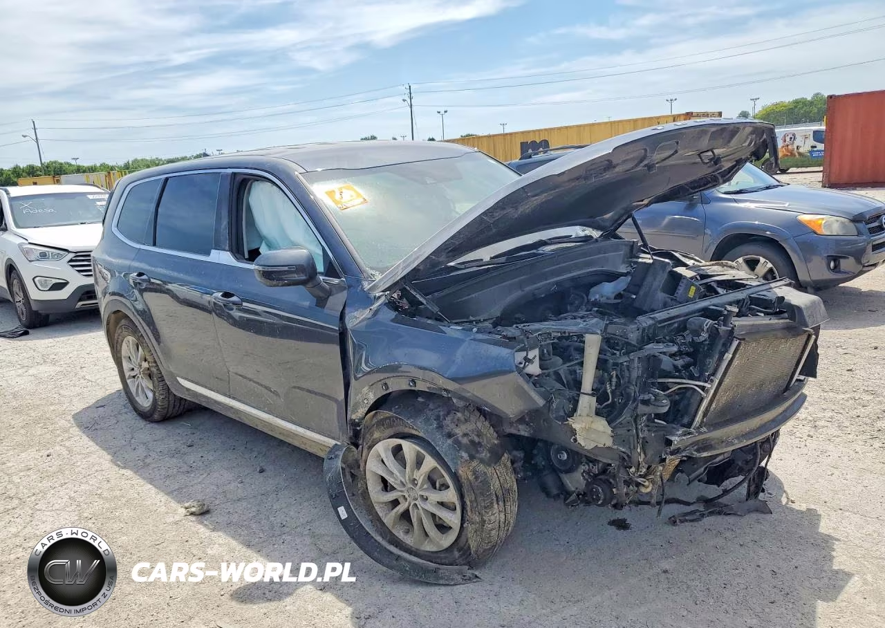 2022 Kia Telluride Lx VIN:5XYP2DHC6NG219450 - 4