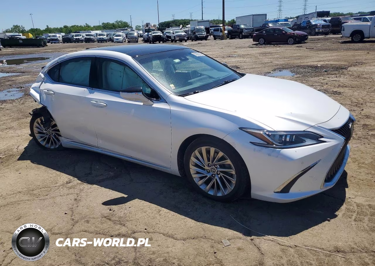 2020 Lexus Es 350 Luxury VIN:58AEZ1B16LU078176 - 4