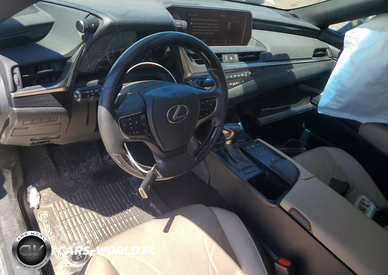 2020 Lexus Es 350 Luxury VIN:58AEZ1B16LU078176 - 8