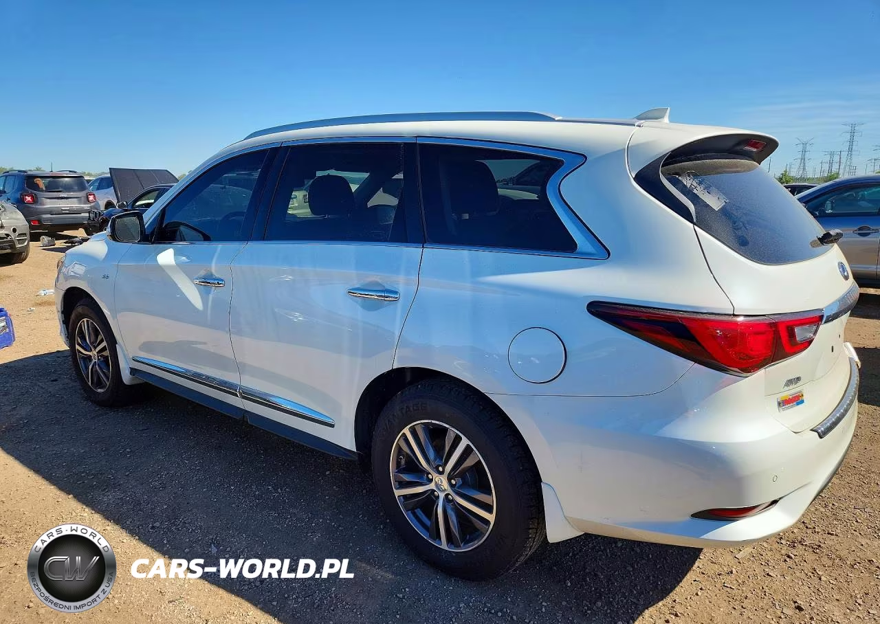 2019 Infiniti Qx60 Luxe VIN:5N1DL0MM6KC533151 - 2