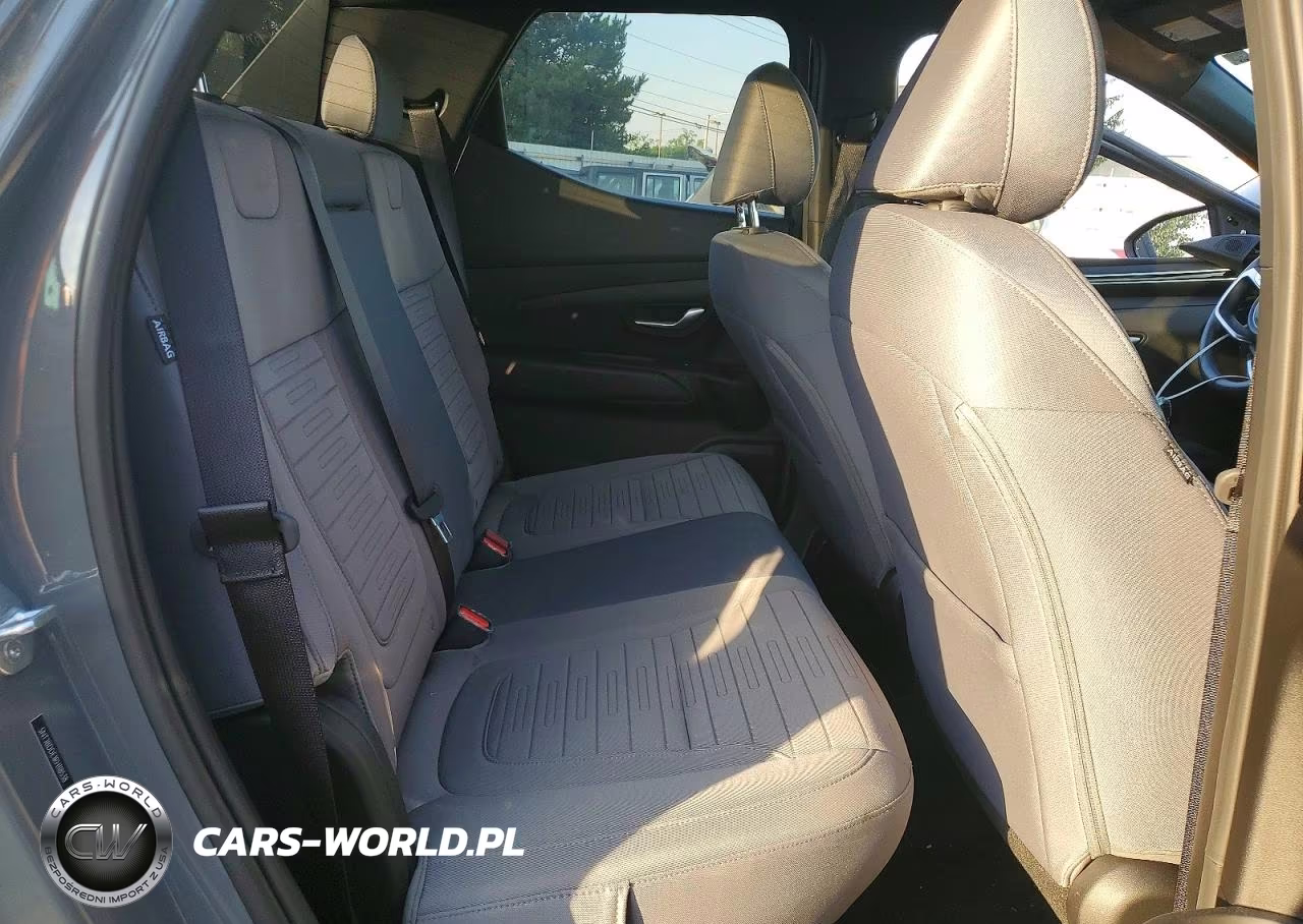 2024 Hyundai Santa Cruz Sel VIN:5NTJBDDE1RH118538 - 10