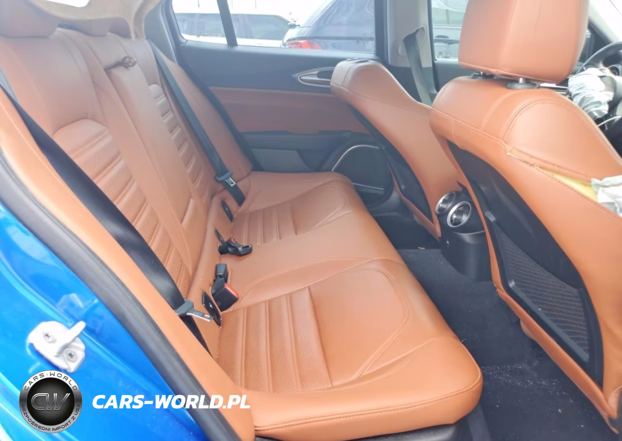 2019 Alfa Romeo Giulia Ti VIN:ZARFAMBN9K7607201 - 10