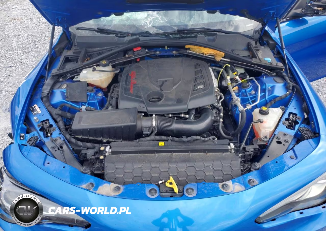 2019 Alfa Romeo Giulia Ti VIN:ZARFAMBN9K7607201 - 11