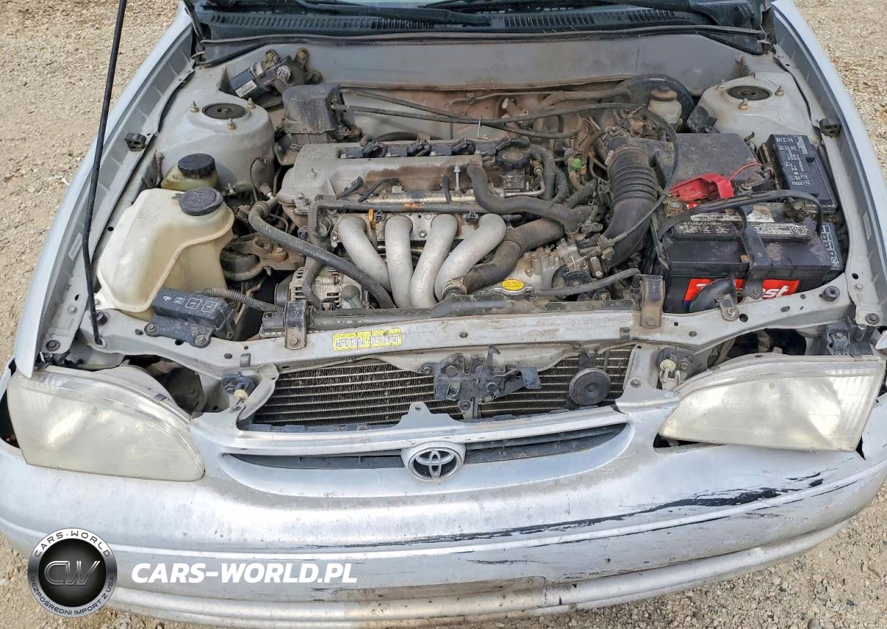 2000 Toyota Corolla Ve VIN:1NXBR18E4YZ378326 - 11