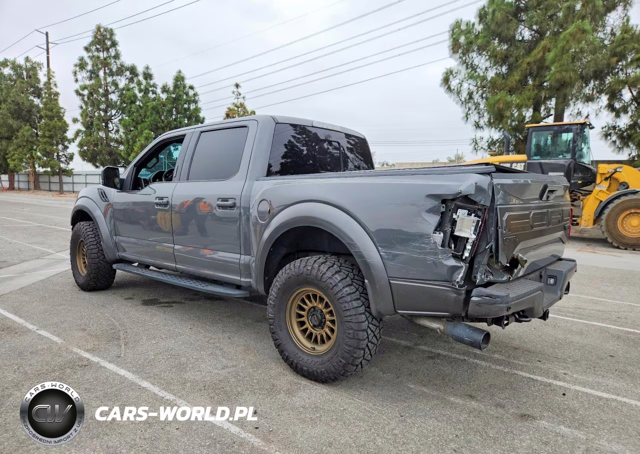 2018 Ford F150 Raptor VIN:1FTFW1RGXJFD13313 - 2