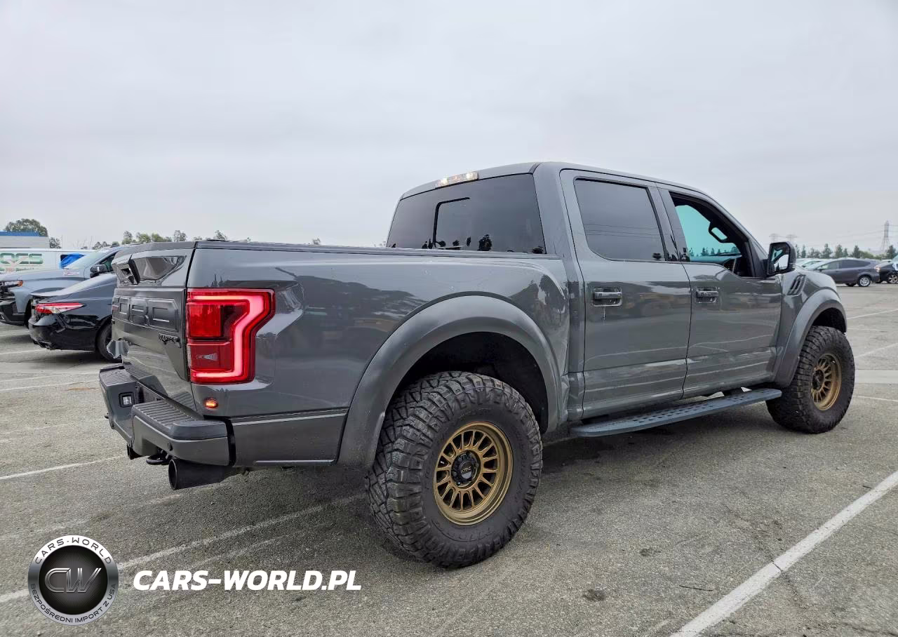 2018 Ford F150 Raptor VIN:1FTFW1RGXJFD13313 - 3