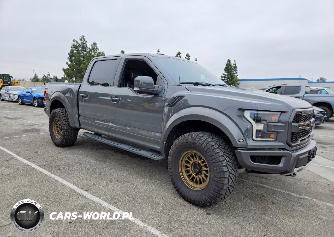 2018 Ford F150 Raptor VIN:1FTFW1RGXJFD13313 - 4
