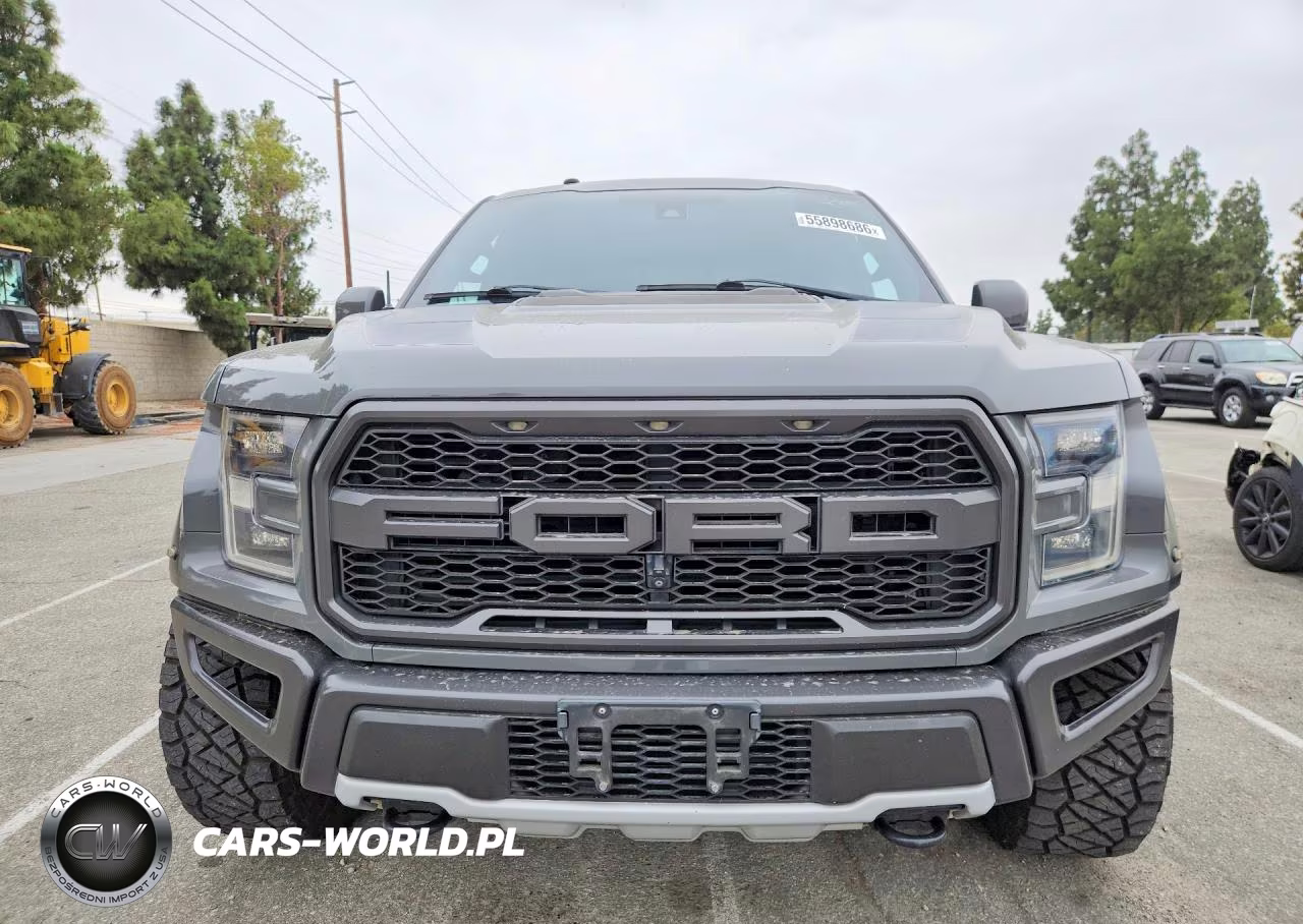 2018 Ford F150 Raptor VIN:1FTFW1RGXJFD13313 - 5