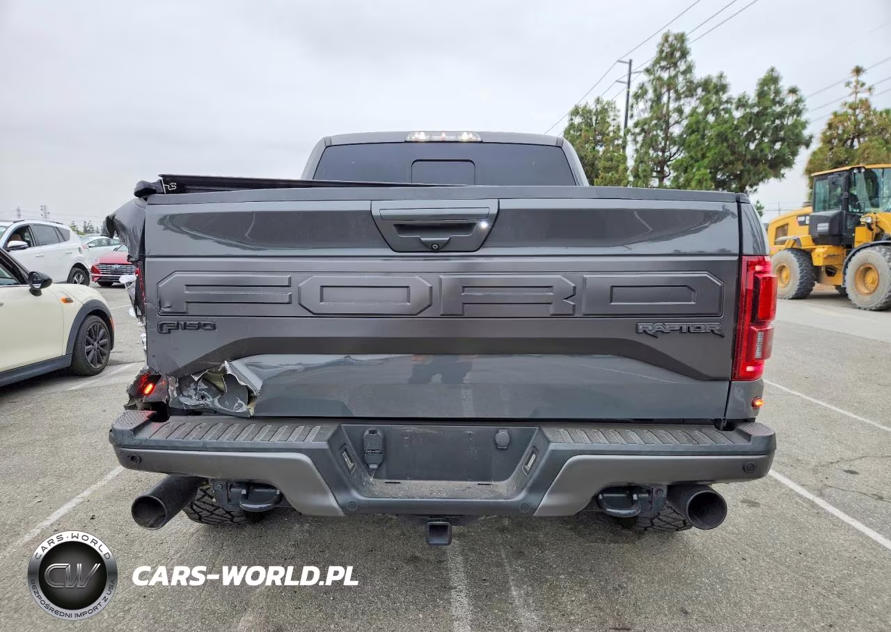 2018 Ford F150 Raptor VIN:1FTFW1RGXJFD13313 - 6