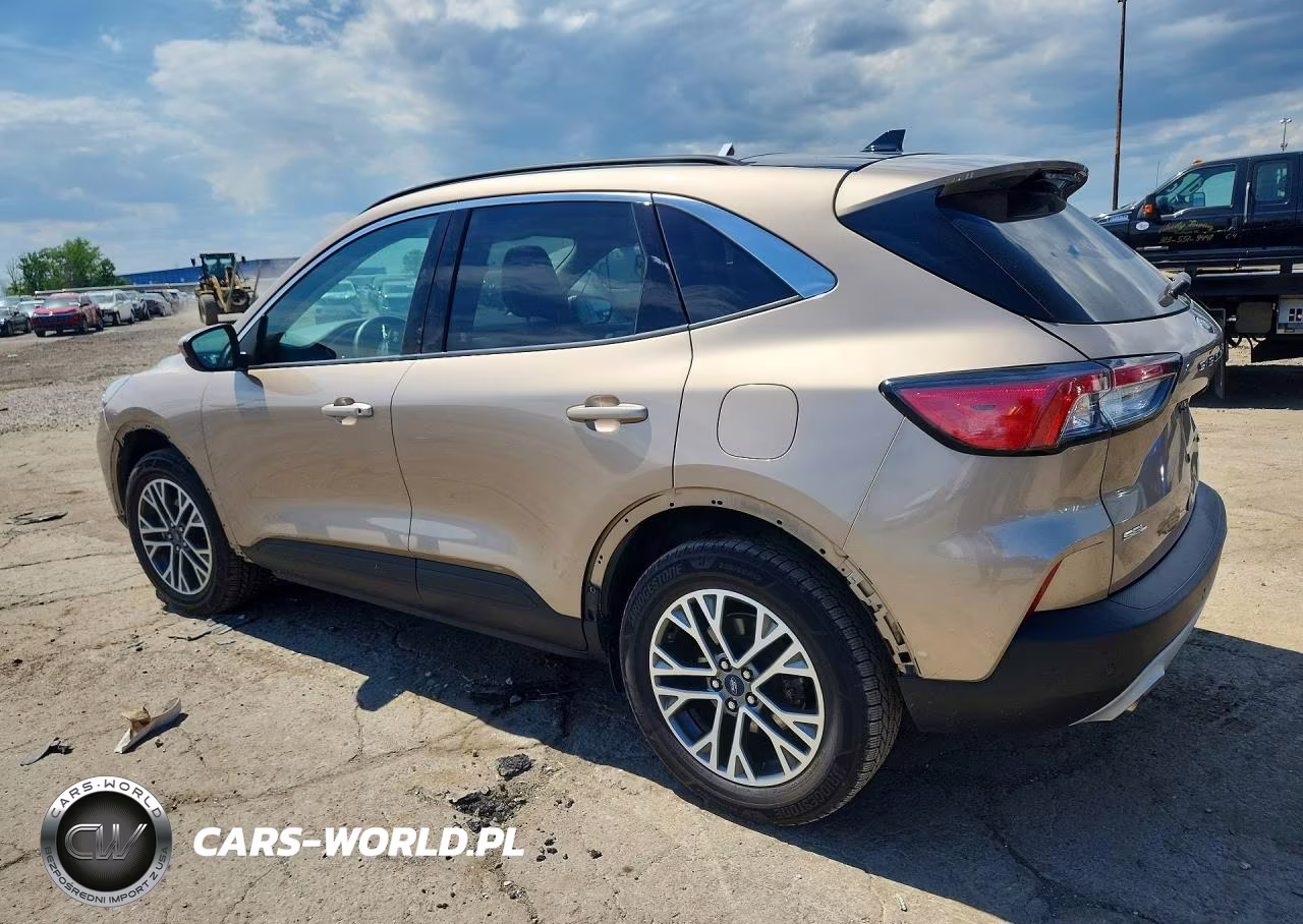 2020 Ford Escape Sel VIN:1FMCU9H63LUA53377 - 2