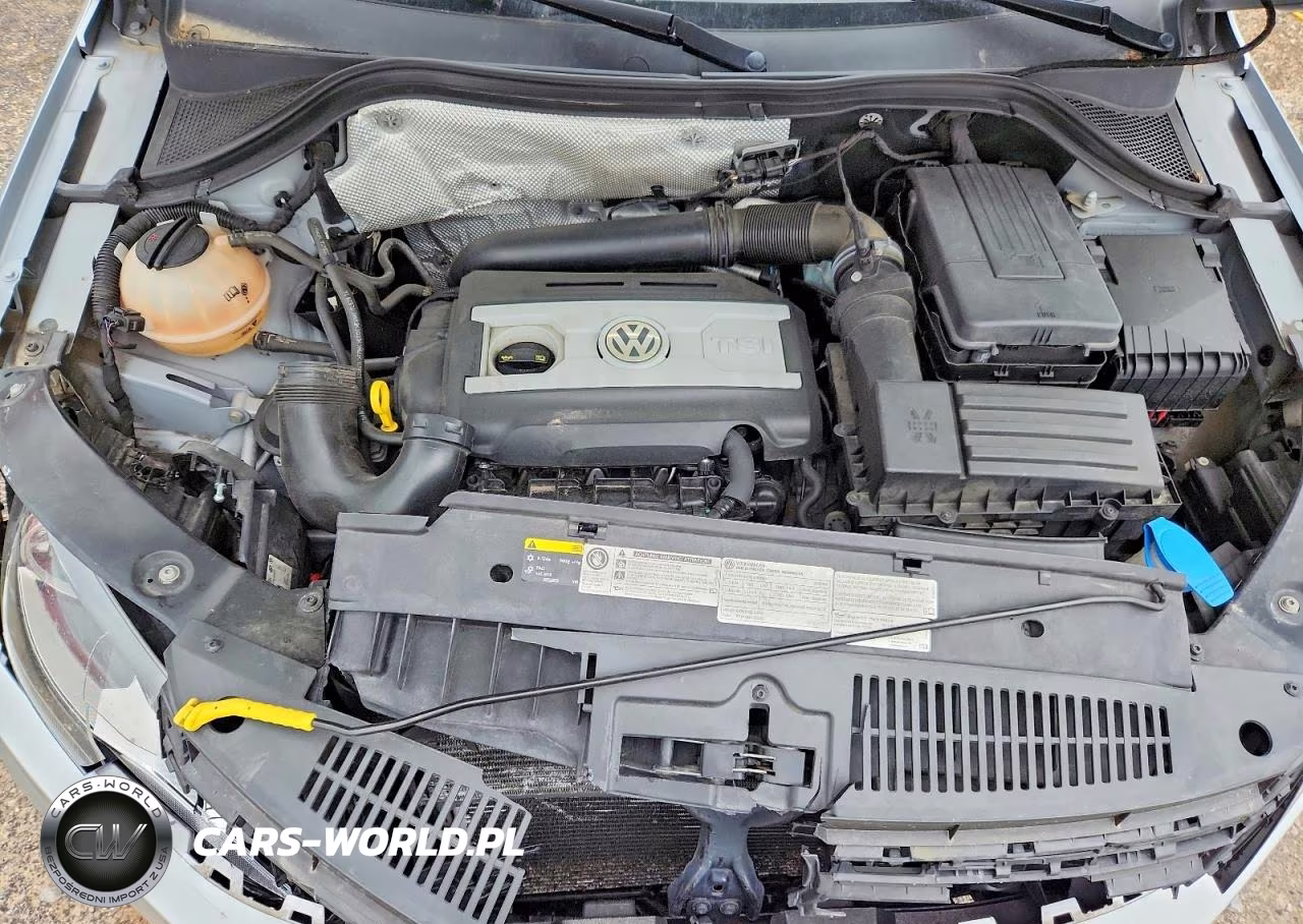 2014 Volkswagen Tiguan S VIN:WVGBV3AX7EW534572 - 12