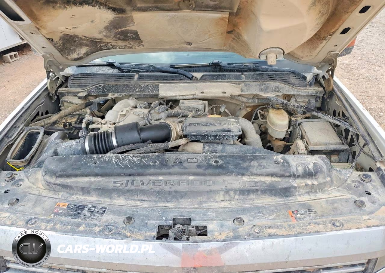 2018 Chevrolet Silverado K3500 VIN:1GC4KYCY7JF185335 - 12