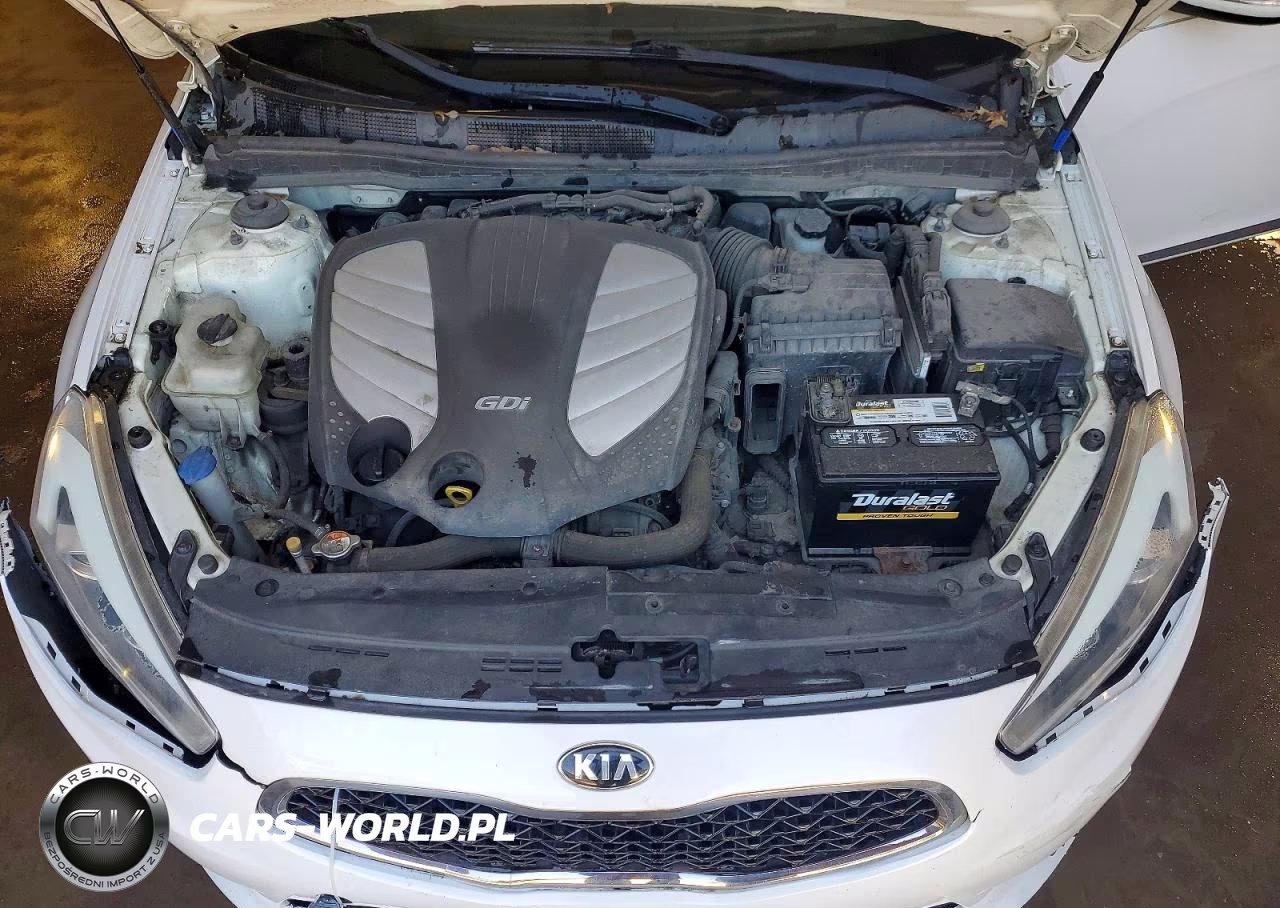 2014 Kia Cadenza Limited VIN:KNALN4D76E5149176 - 11