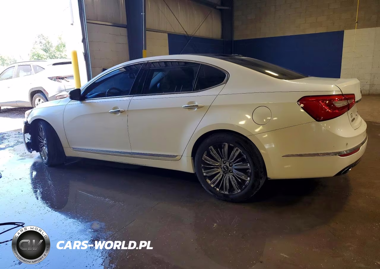 2014 Kia Cadenza Limited VIN:KNALN4D76E5149176 - 2
