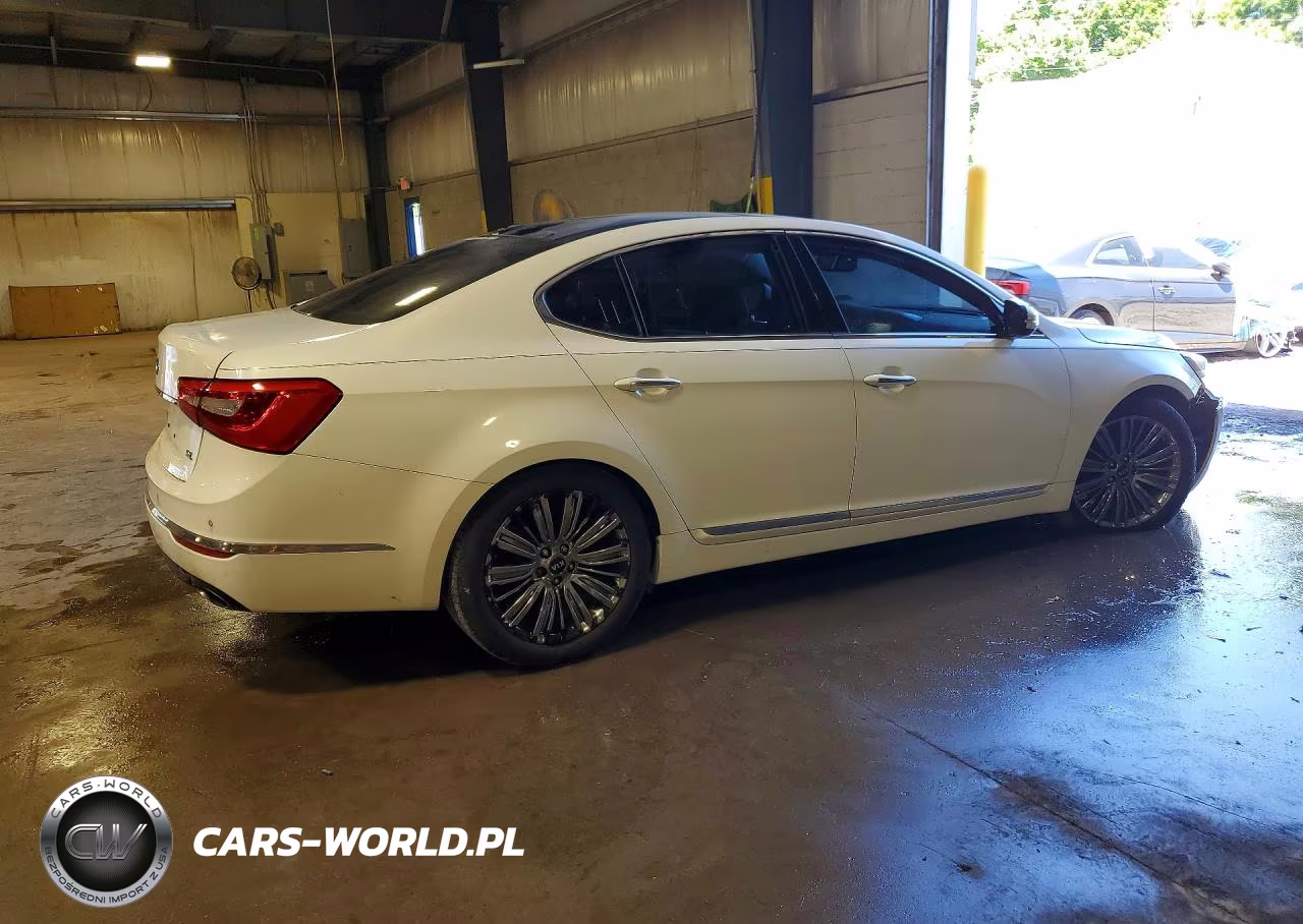 2014 Kia Cadenza Limited VIN:KNALN4D76E5149176 - 3