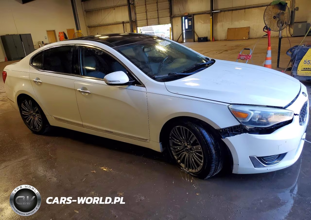 2014 Kia Cadenza Limited VIN:KNALN4D76E5149176 - 4