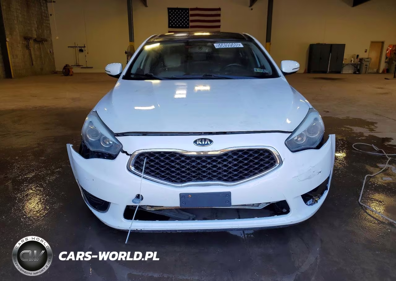 2014 Kia Cadenza Limited VIN:KNALN4D76E5149176 - 5