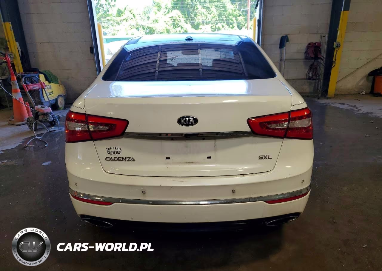 2014 Kia Cadenza Limited VIN:KNALN4D76E5149176 - 6