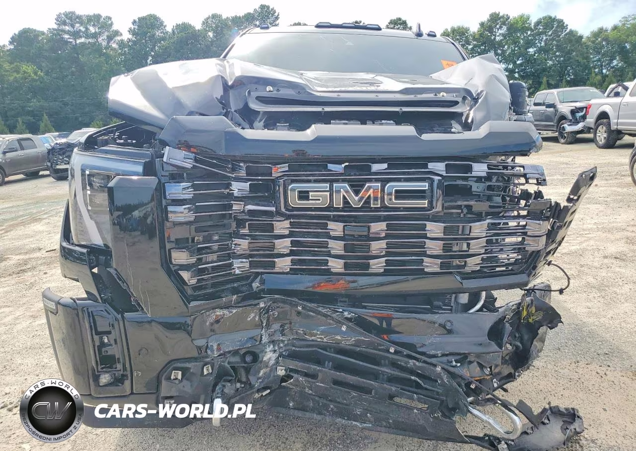 2025 GMC Sierra K3500 Denali Ultimate VIN:1GT4UYEY2SF234157 - 5