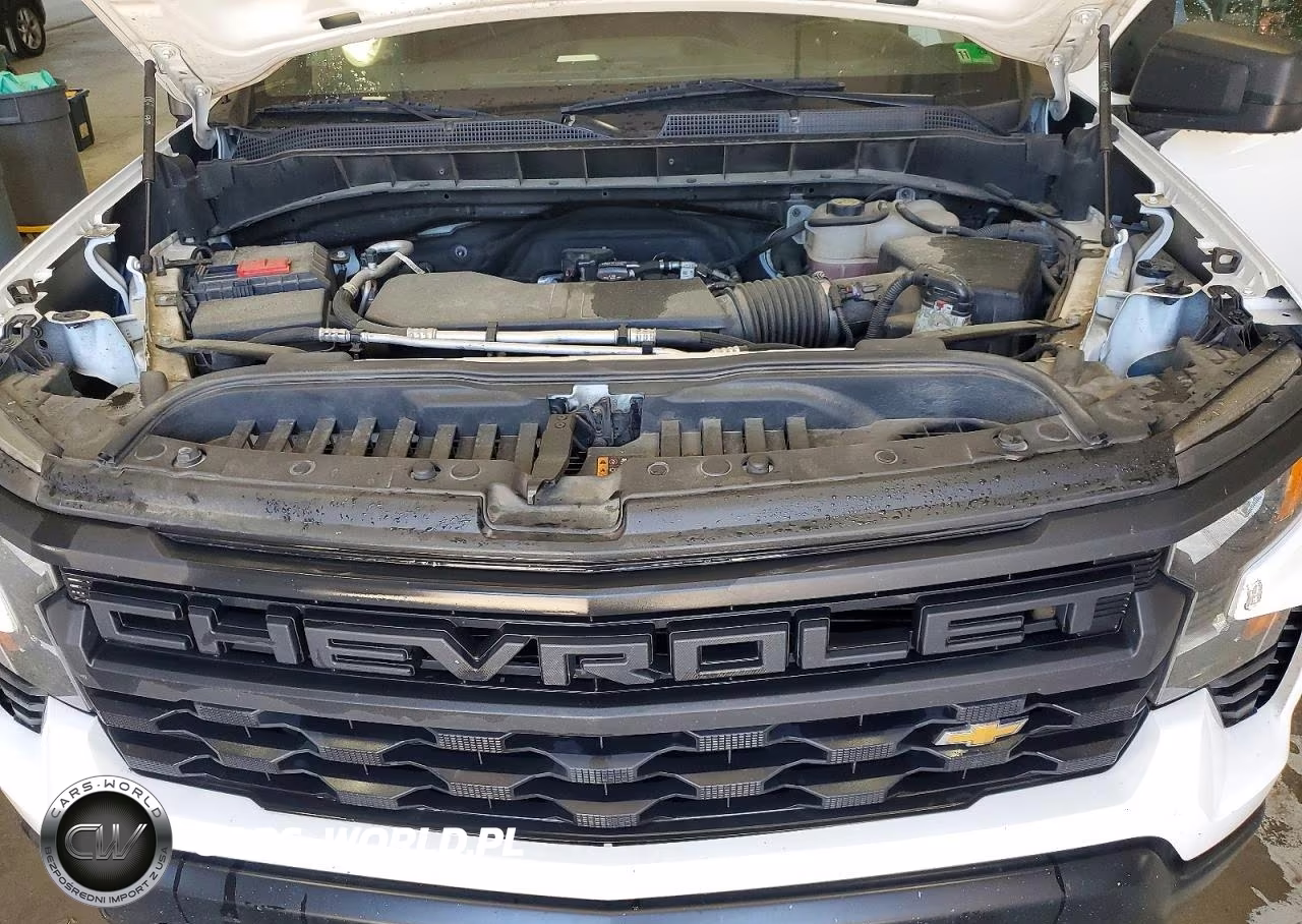 2023 Chevrolet Silverado C1500 VIN:3GCNAAEK2PG354398 - 10