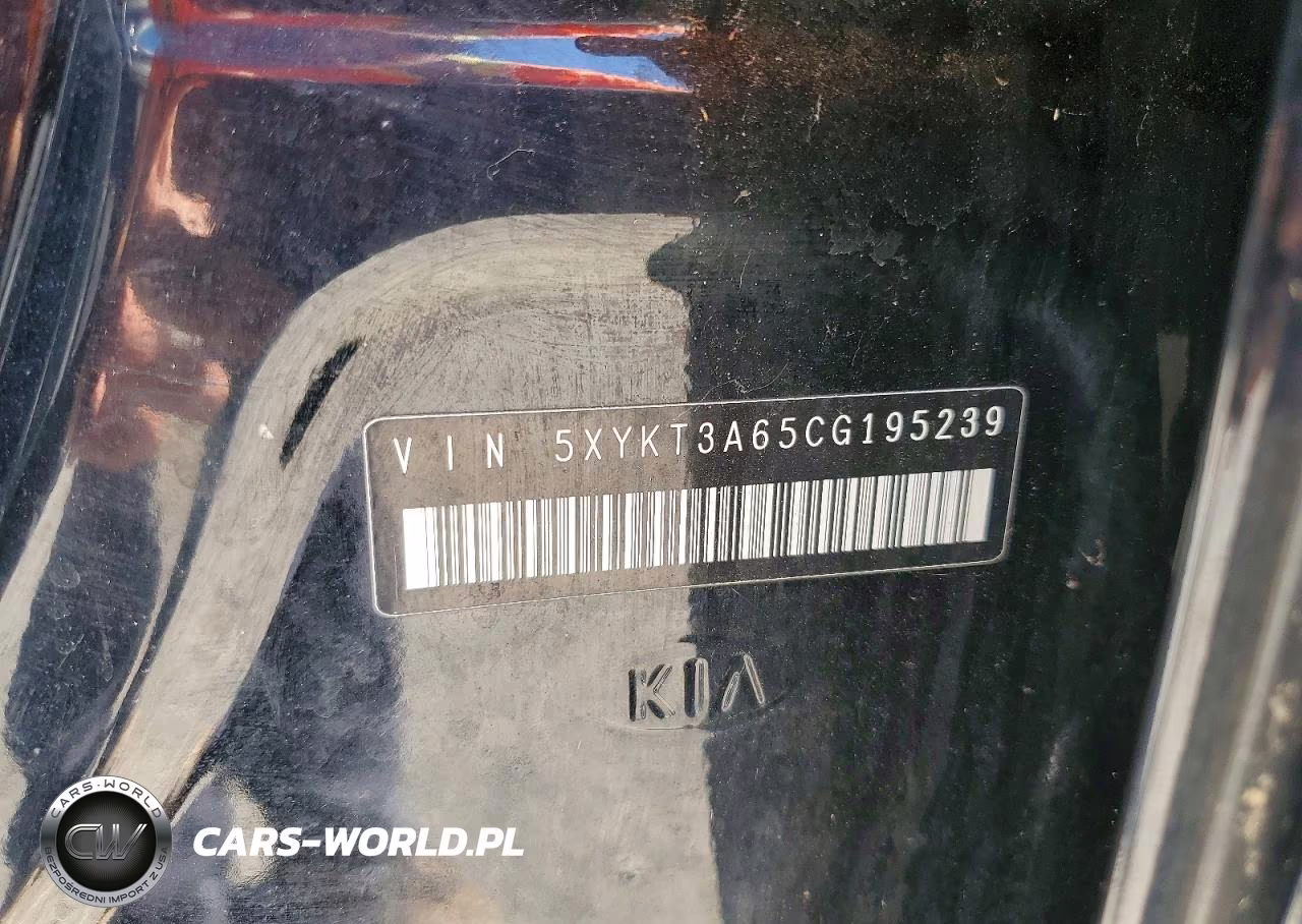 2012 Kia Sorento Lx VIN:5XYKT3A65CG195239 - 13