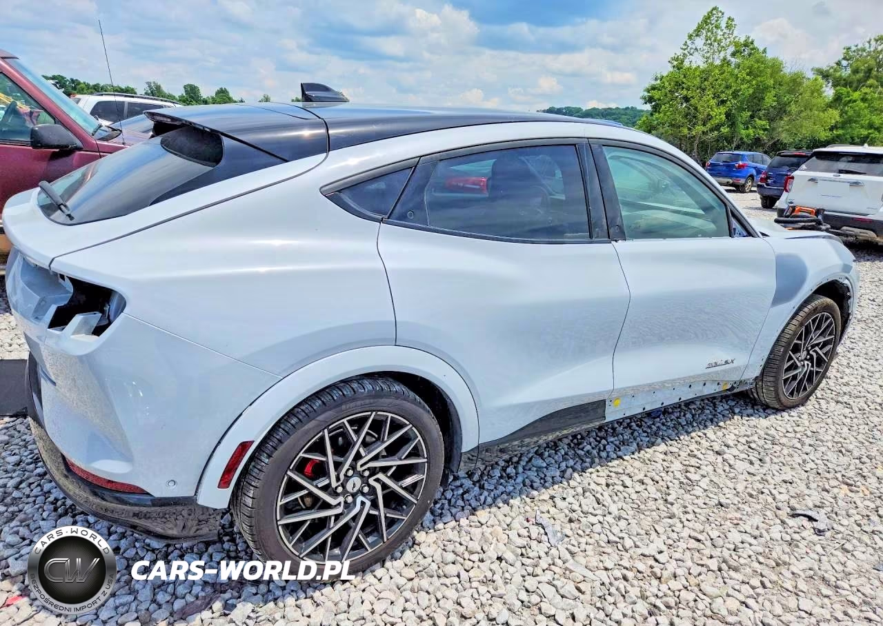 2023 Ford Mustang Mach-E Gt VIN:3FMTK4SX3PMA16172 - 3