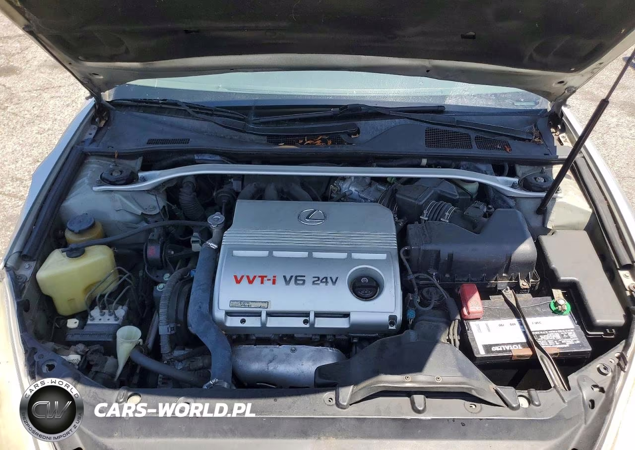 2003 Lexus Es 300 VIN:JTHBF30G930117441 - 11