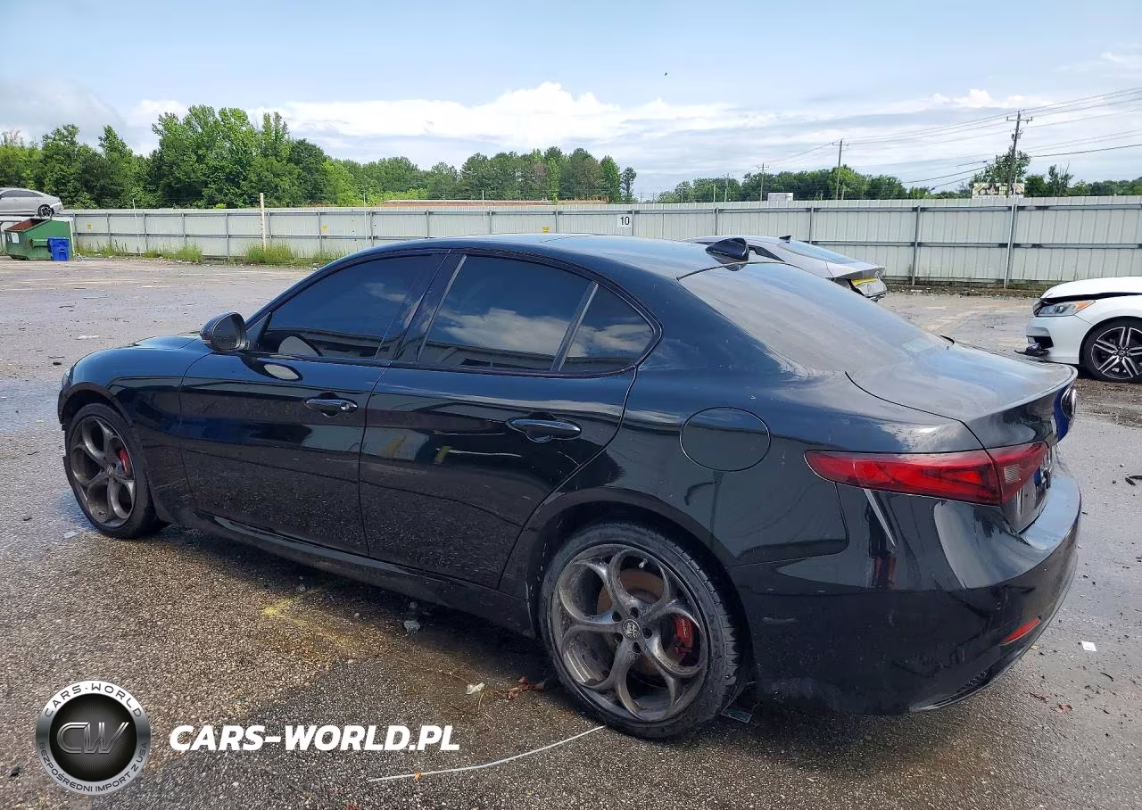 2019 Alfa Romeo Giulia VIN:ZARFANAN4K7610160 - 2