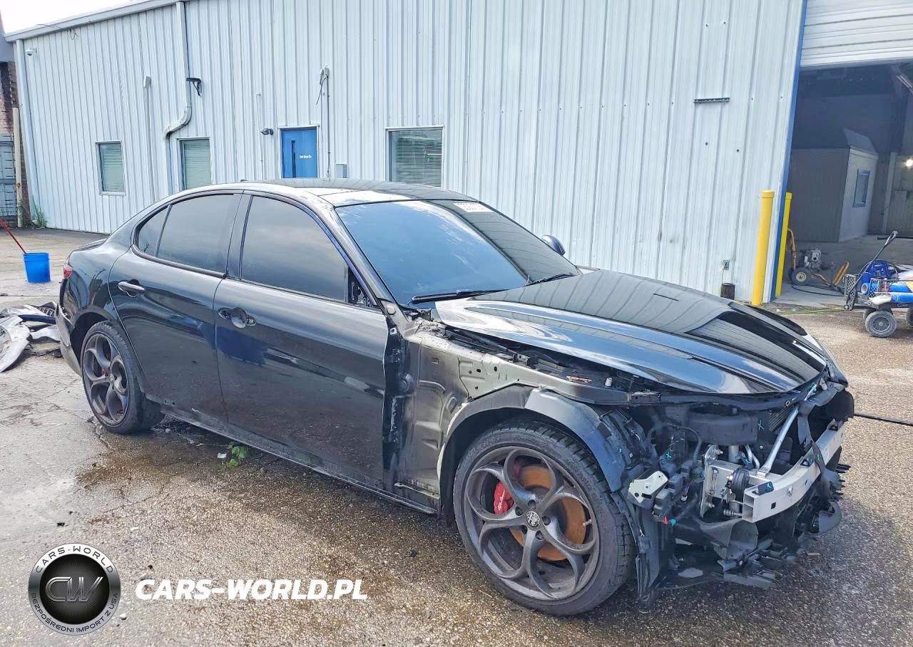 2019 Alfa Romeo Giulia VIN:ZARFANAN4K7610160 - 4