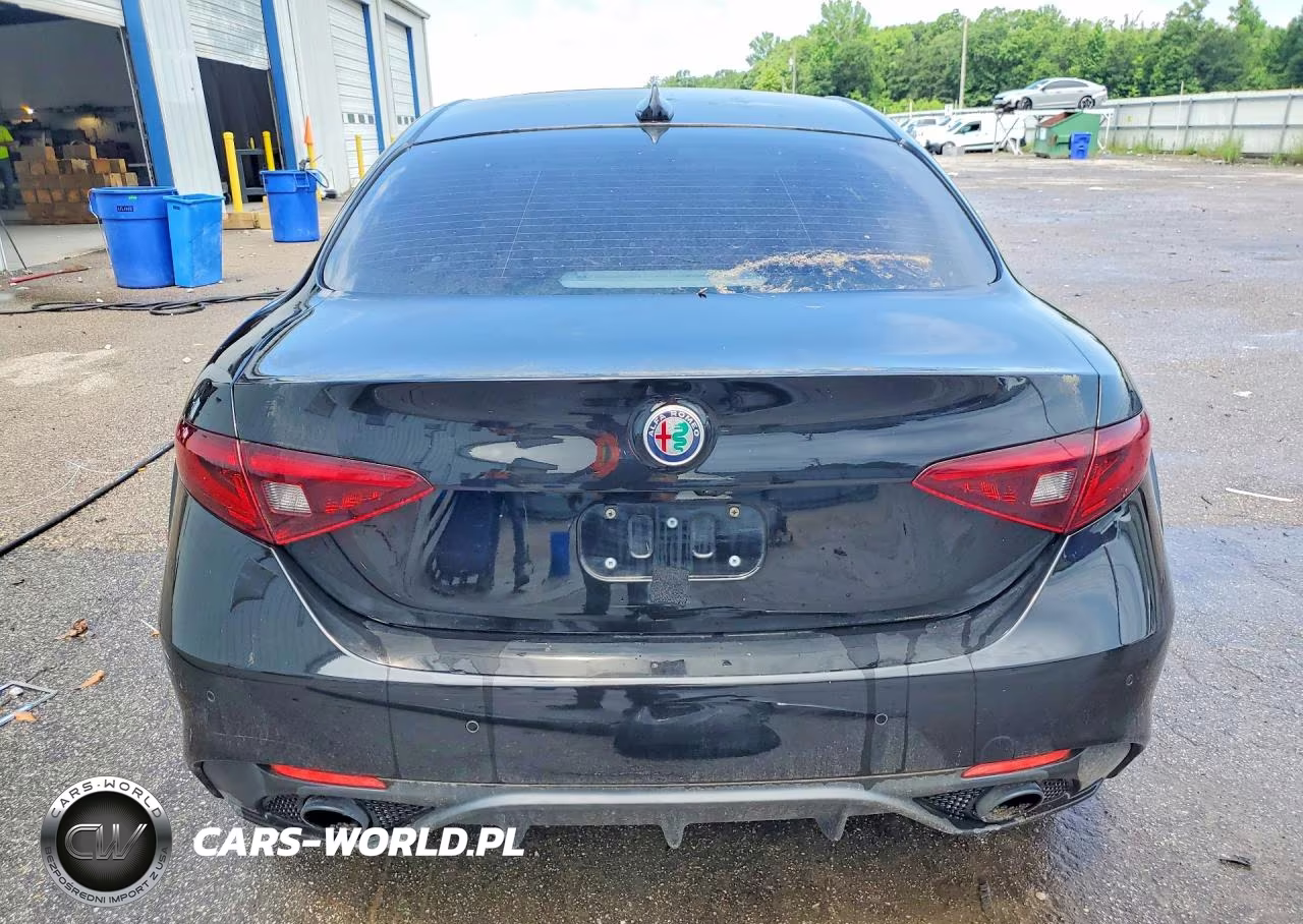 2019 Alfa Romeo Giulia VIN:ZARFANAN4K7610160 - 6