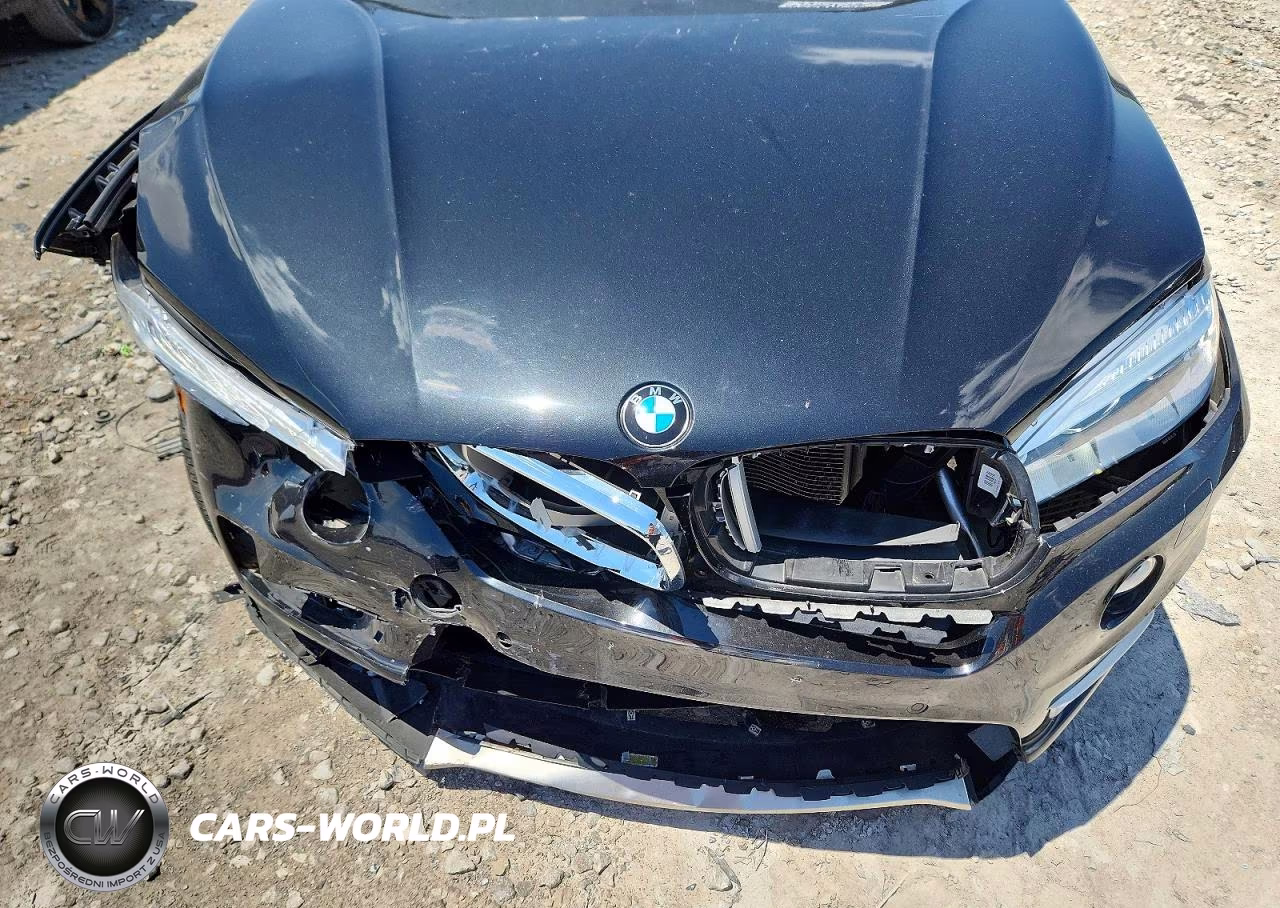 2016 BMW X5 xDrive35I VIN:5UXKR0C56G0P23687 - 11