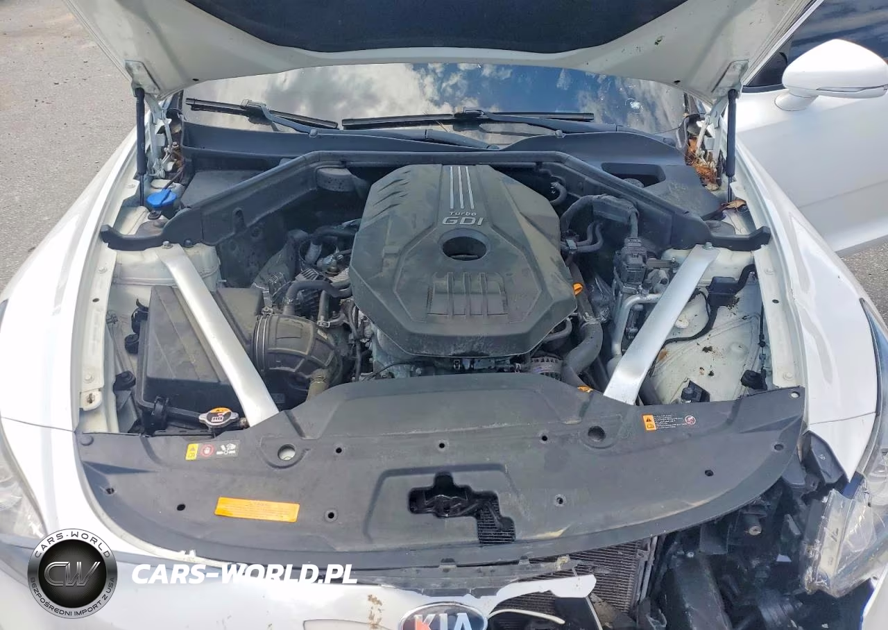 2019 Kia Stinger Base VIN:KNAE15LA7K6070645 - 11