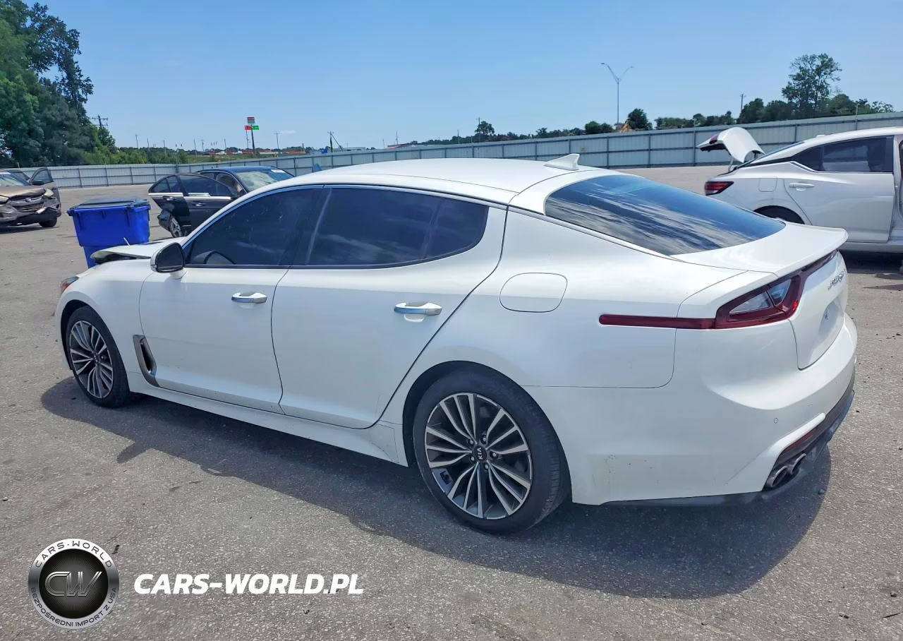 2019 Kia Stinger Base VIN:KNAE15LA7K6070645 - 2