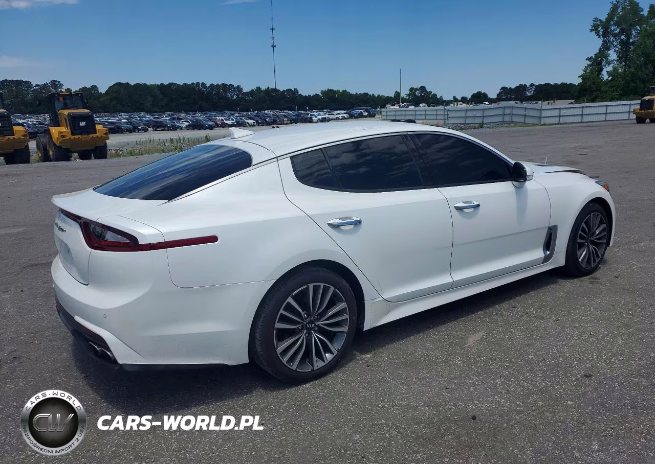 2019 Kia Stinger Base VIN:KNAE15LA7K6070645 - 3
