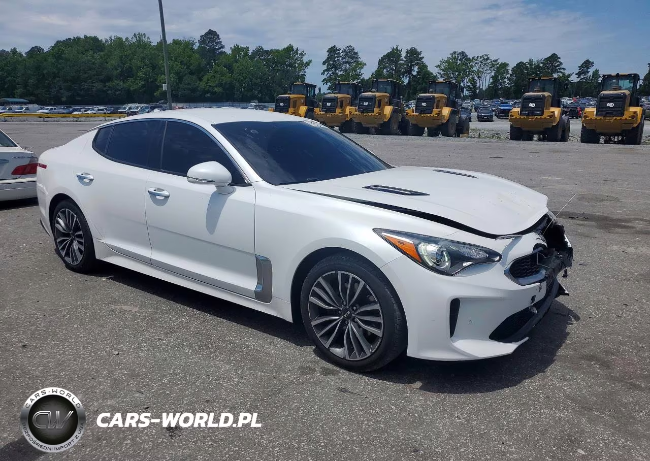 2019 Kia Stinger Base VIN:KNAE15LA7K6070645 - 4