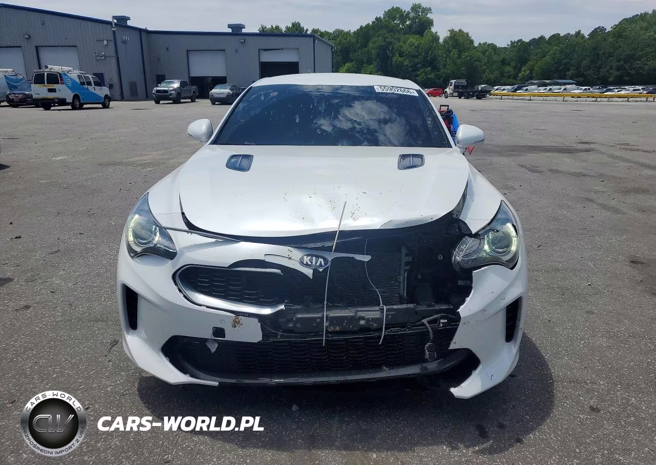 2019 Kia Stinger Base VIN:KNAE15LA7K6070645 - 5